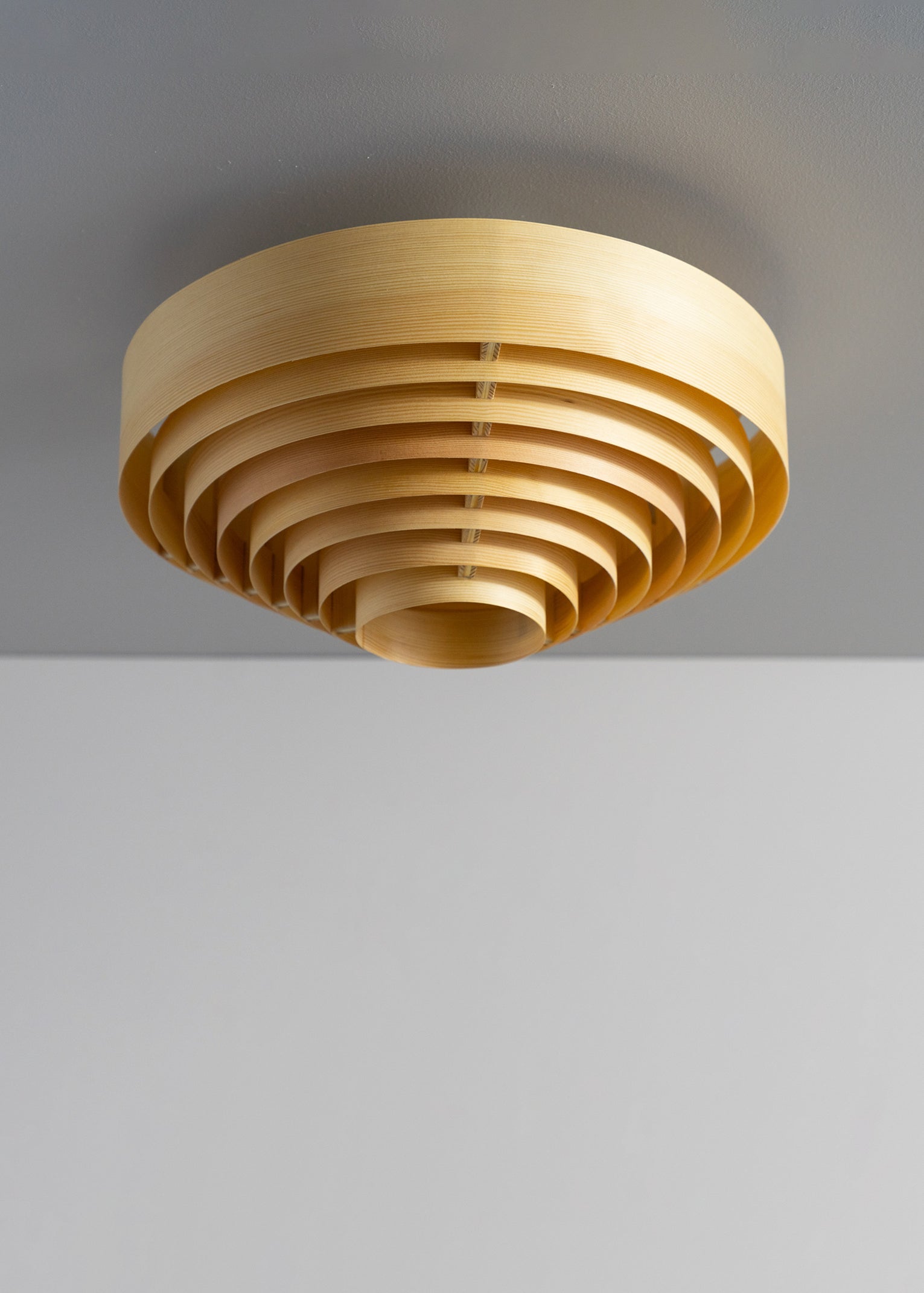 1005 Hans Ceiling Light