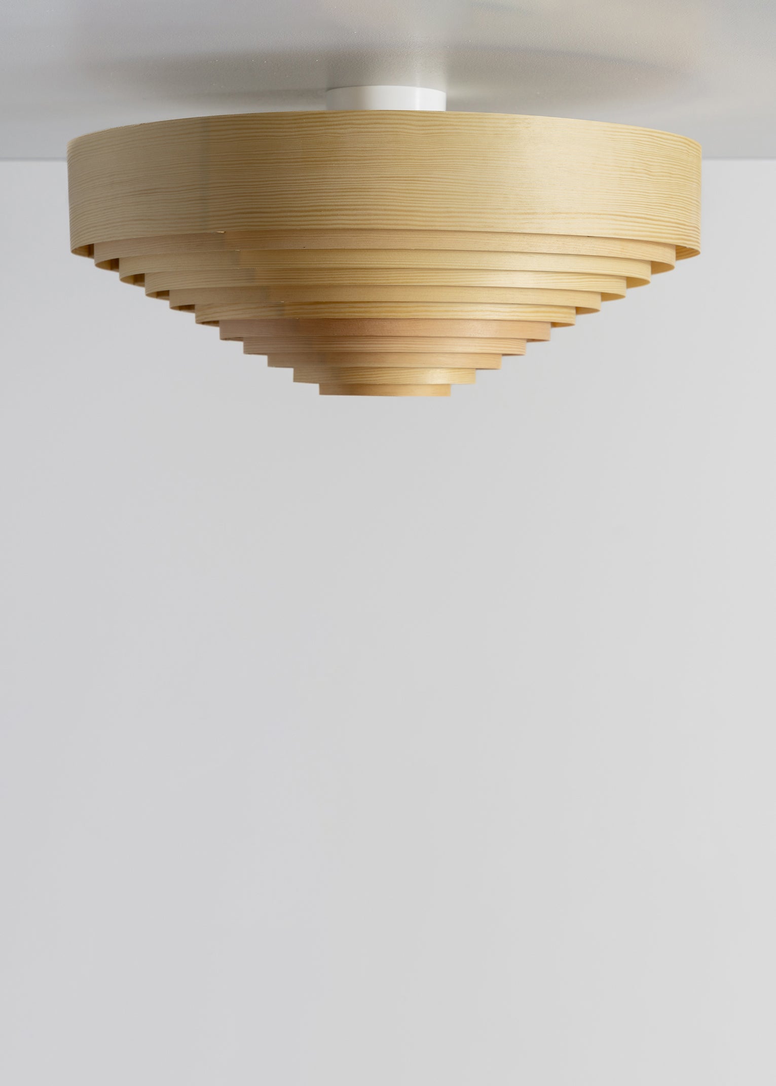 1005 Hans Ceiling Light