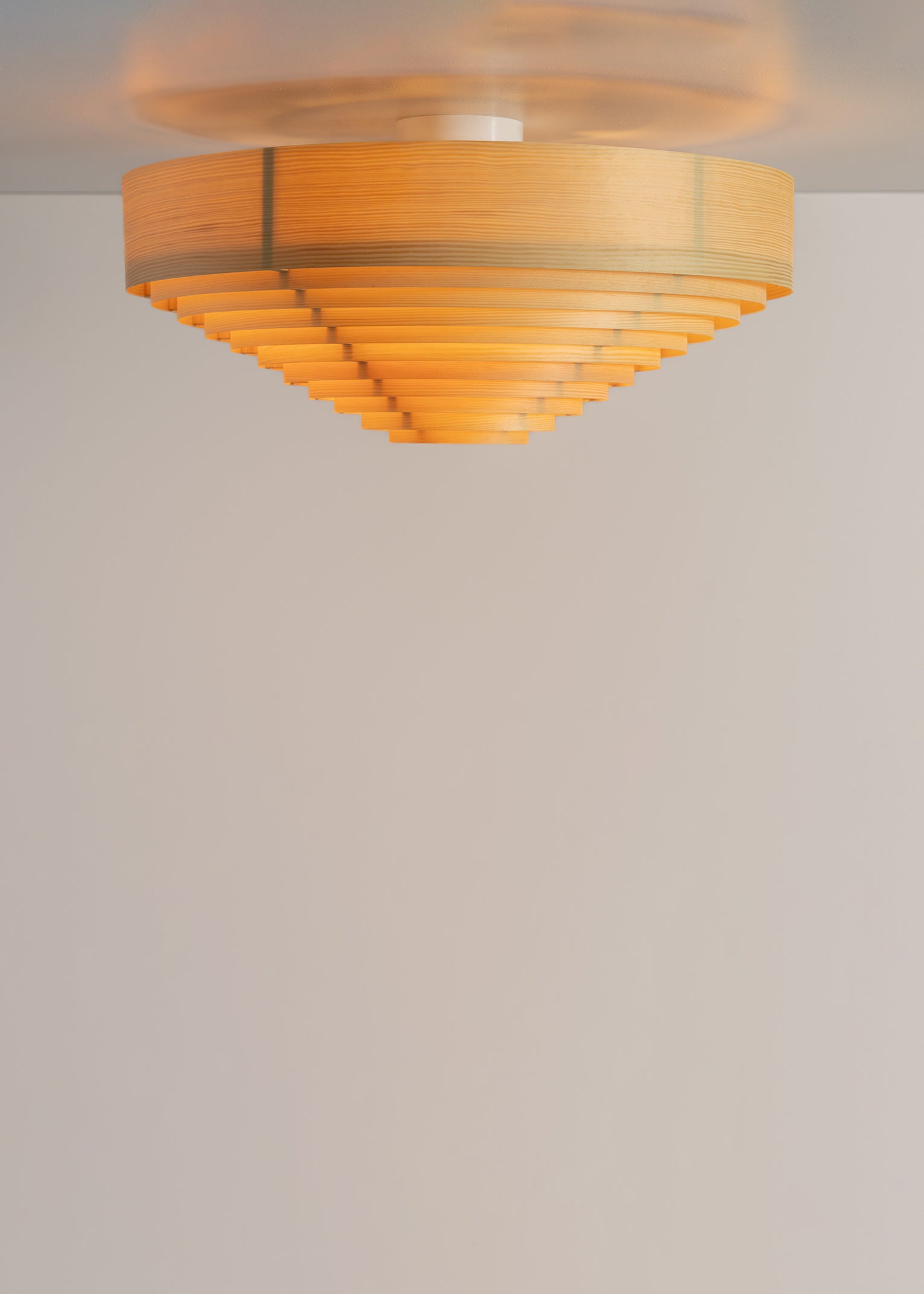 1005 Hans Ceiling Light