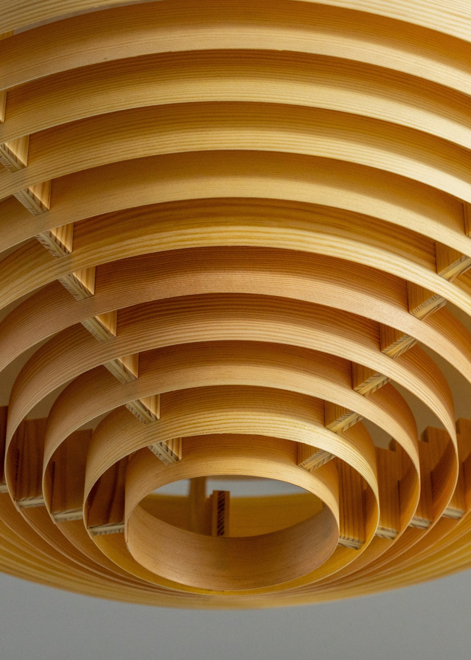 1005 Hans Ceiling Light