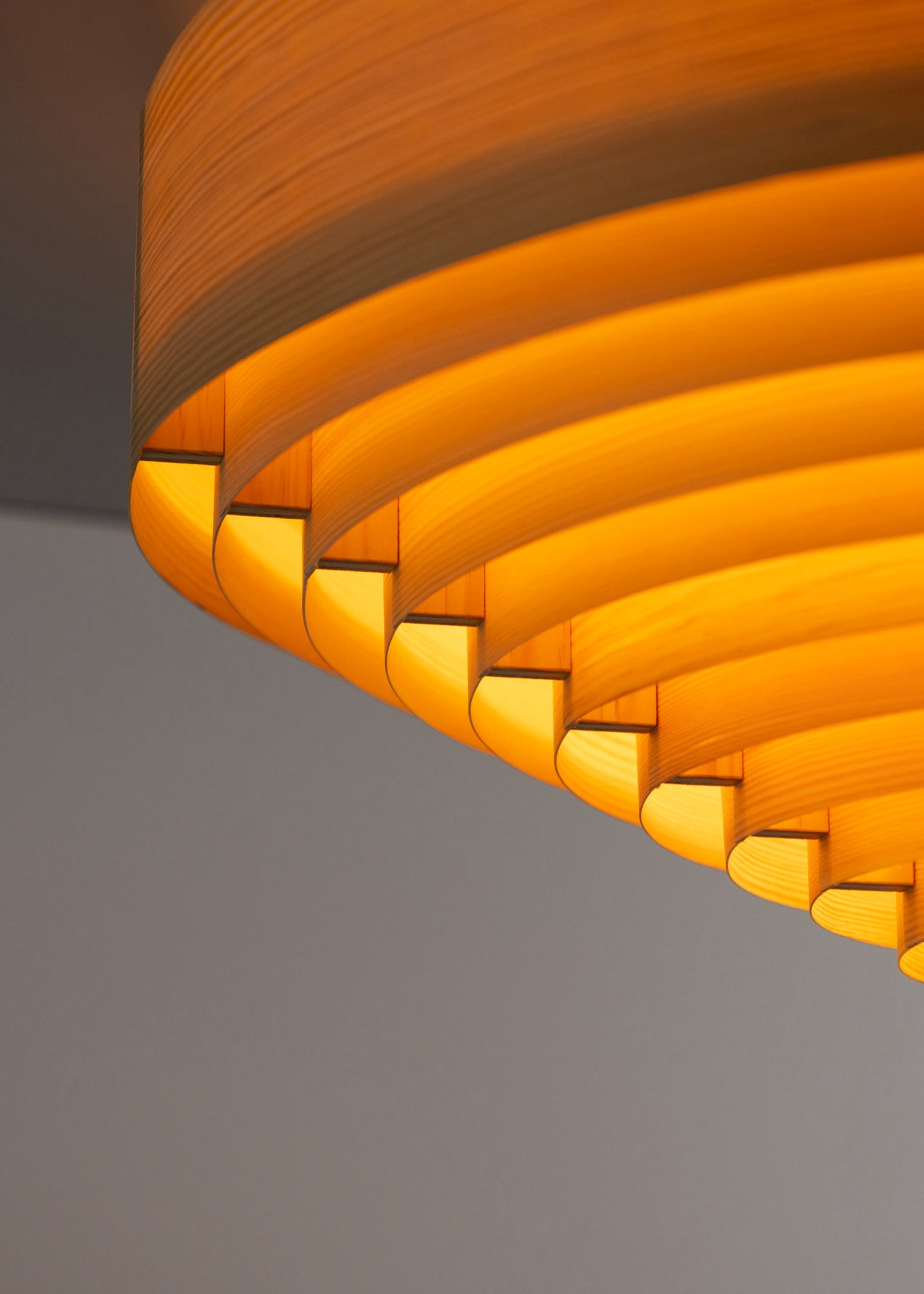 1005 Hans Ceiling Light