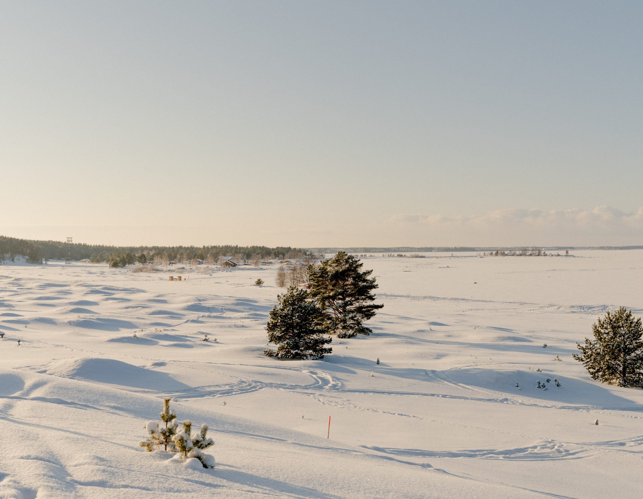 Finnish winter landscape with pine trees